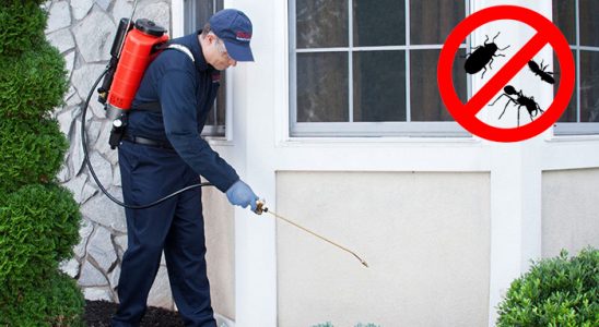 Özdere Hamam Böceği İlaçlama böcek ilaçlama ve haşere kontrolü — ilaclama-tr.com